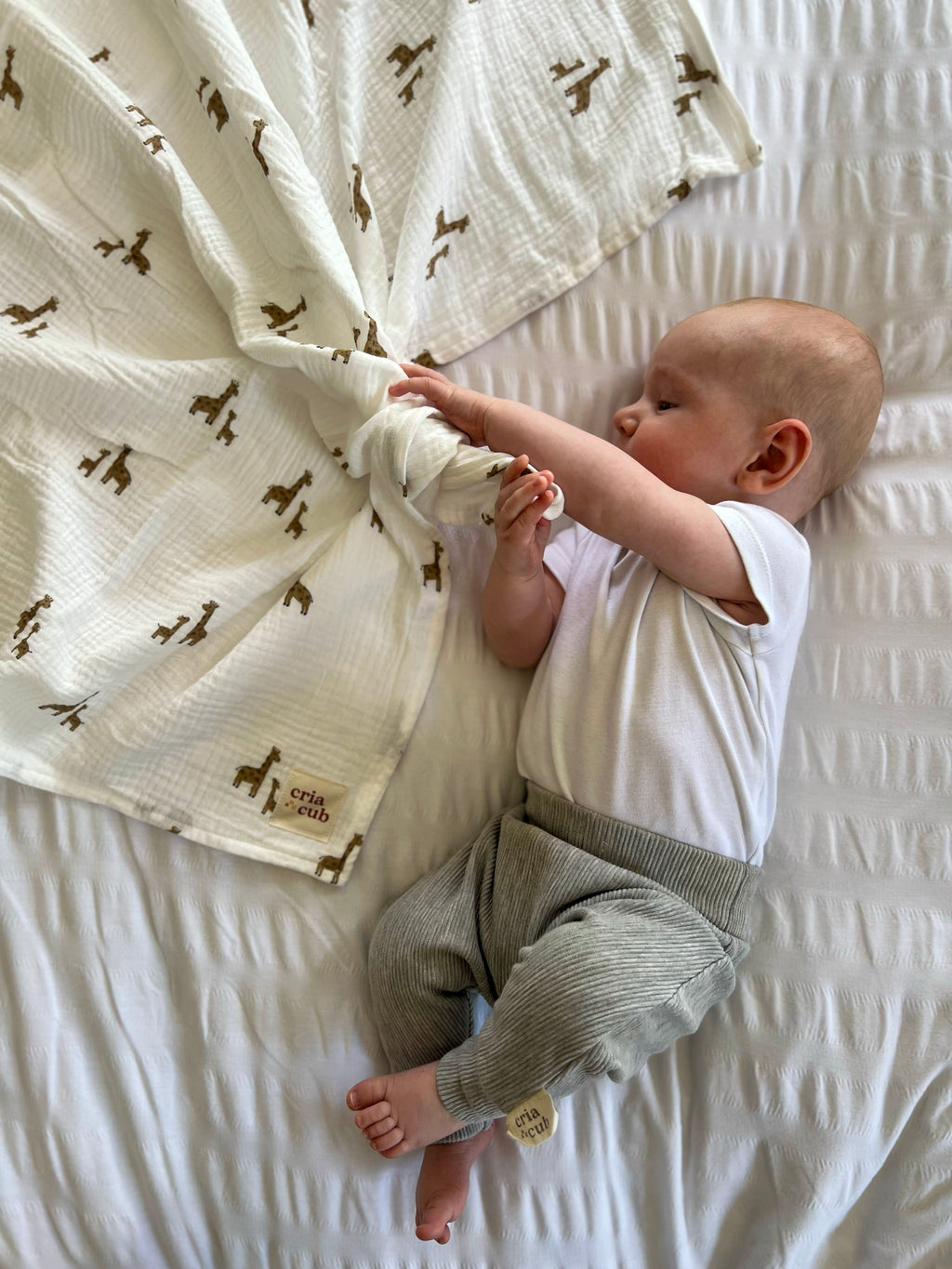 Giraffe Giant Muslin