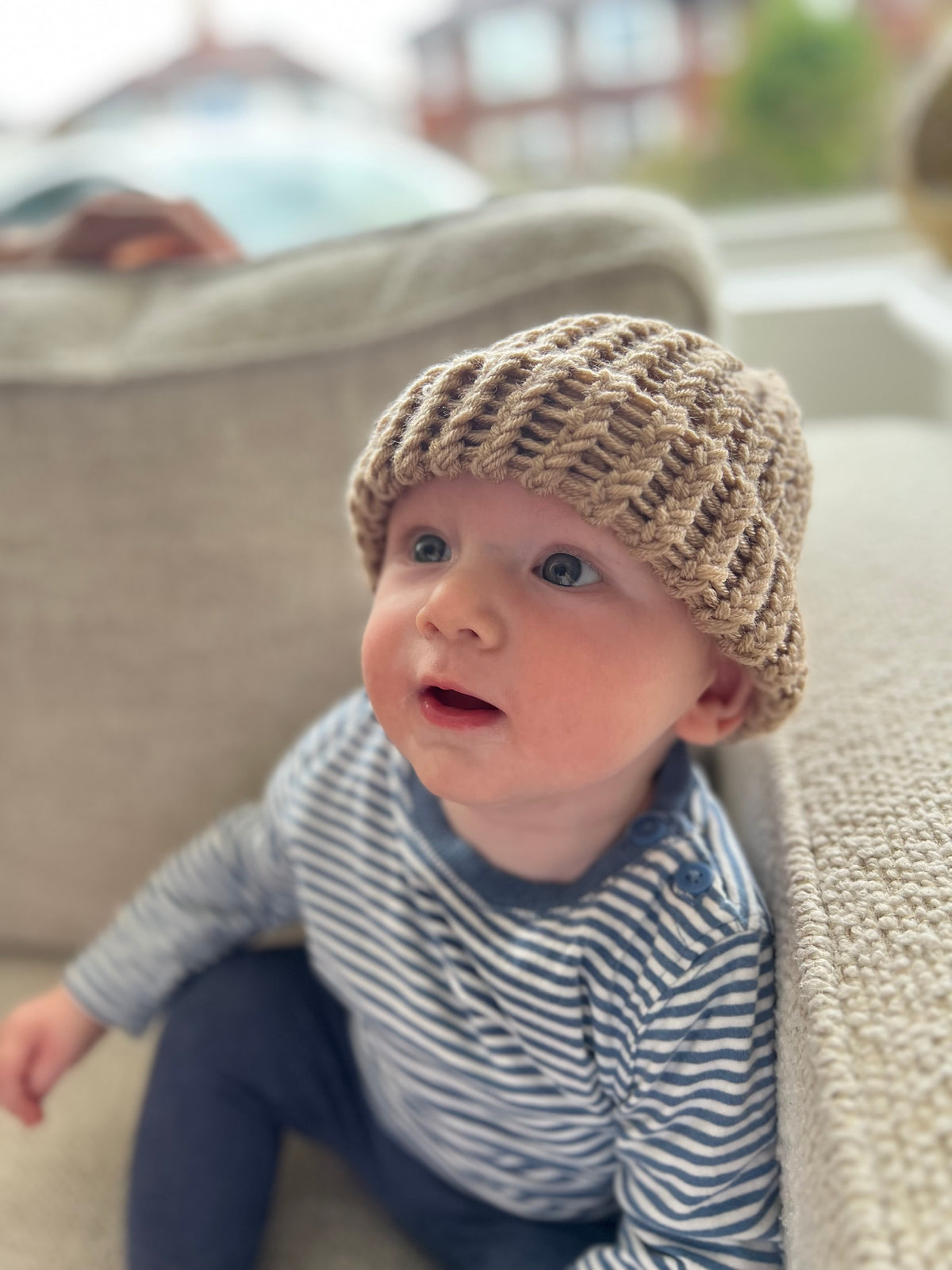 Bear hat